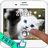 Fanny Kittiens Live Wallpaper