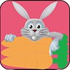 Fast Rabbit