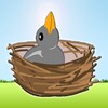 Feed The Chicks