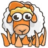 Feed The Sheep