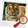 Find It Animal