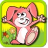 Find Rabbit