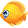 Fish Adventure