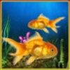 Fish Aquarium Livewallpaper