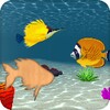 Fish Puzzles