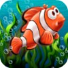 Fish Splash In Water