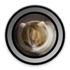 Fisheye Camera Lenses