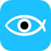 Fisheye Camera