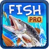 FishPro