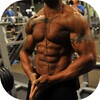 Fitness. Rutinas Para El Gym