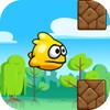 Flap Flap