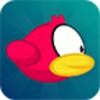 Flap The Bird