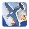Flight Combat