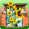 Flower Frames