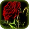 Flower Live Wallpapers