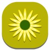 Flower Macro