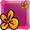 Flower Photo Frames Pro