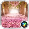Flower Tree Locker Wallpaper-VLife