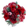 Flowers Wallpapers