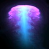 Fluids And Sounds: Calm Mind
