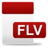 FLV Video Player