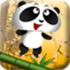 Flying Panda