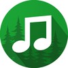 Forest Sounds