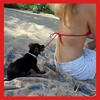 Free Funny Videos HD