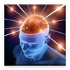 Free Mind Game