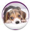 Free Puppy Dog Wallpaper