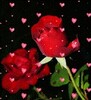 Free Rose Heart Live Wallpaper