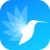 Free SEO Tools