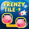 Frenzy Tile -Pair Match
