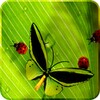 Friendly Bugs Free