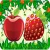 Fruit Book