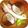 Fruit Slice Free