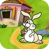 Fun Bunny Adventure