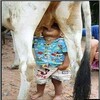 Funny Pics 3