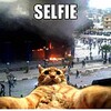 Funny Selfies