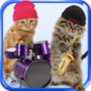 Funny Talking Cats