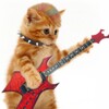 FunnyPets