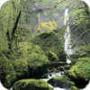 Galaxy Nexus Wallpapers HD