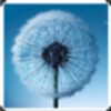 Galaxy S3 Wallpapers