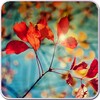 Galaxy S4 Leaf Live Wallpaper