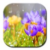 Galaxy S4 Rain Drops