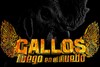 GALLOS FUEGO
