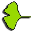 Ginkgo Audio Book Player