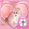 GO Locker Theme Kitty