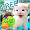 GO SMS Pro Theme Sweet Kitty