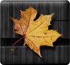 Golden Leaves Live Wallpaper